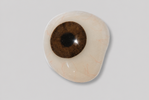 Prótesis Oculares Personalizadas: Expresión y Armonía Natural