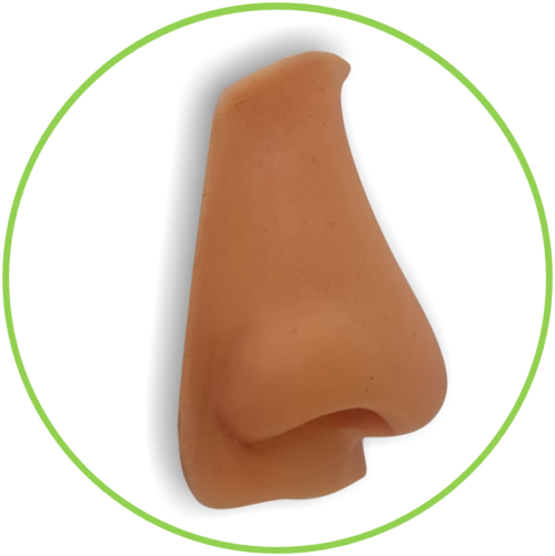 protesis nasal 03 Prótesis Nasales Personalizadas: Recupera la Armonía y Naturalidad de tu Rostro