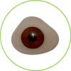 Prótesis Oculares Personalizadas: Expresión y Armonía Natural