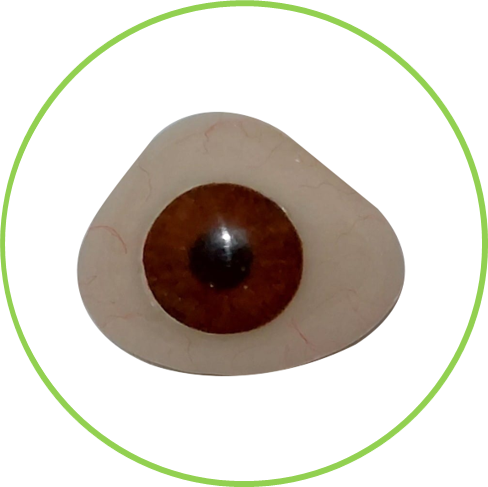 Prótesis Oculares Personalizadas: Expresión y Armonía Natural